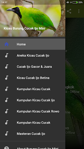 Android application Suara Burung Cucak Ijo Mini screenshort