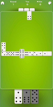 Game screenshot Dominoes apk download