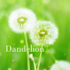 Dandelion +HOME icon