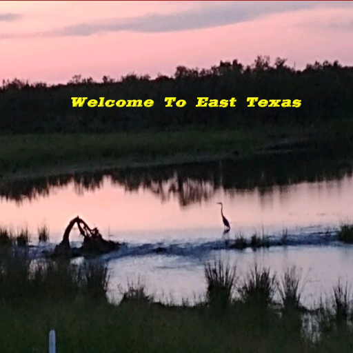 Texas Day Tours - East Texas logo