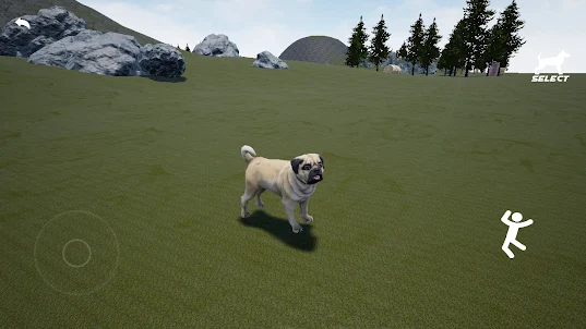 Animals World : Pug Simulator