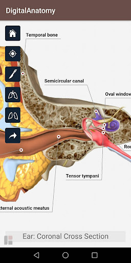 Digital Anatomy Patient App Screen 3