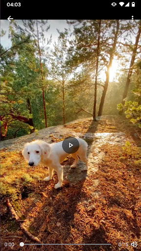 Video Downloader for TikTok Apk3