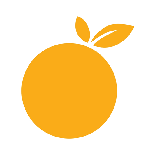 Aidery Orange logo