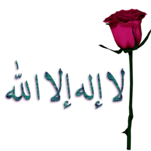 WAStickerAPPS ملصقات جمعة مباركة