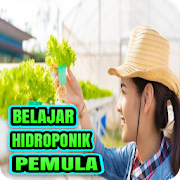 Cara Hidroponik Untuk Pemula