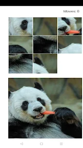 The Panda Picture Puzzle