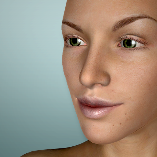  Face Model - 3D Head pose tool 