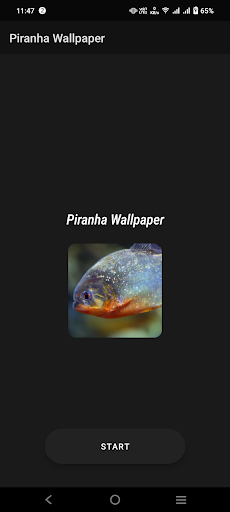 Piranha Wallpaper Screen 2