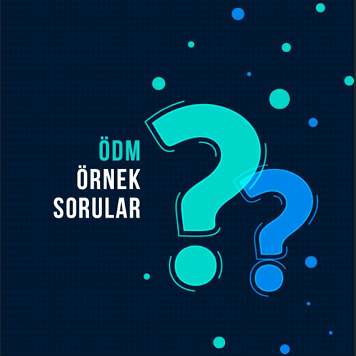 ÖDM Örnek Sorular logo