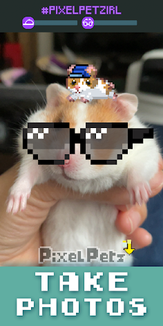 Pixel Petz - Screenshot 4