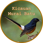 Cover Image of Download Kicauan Murai Batu Gacor 1.1 APK