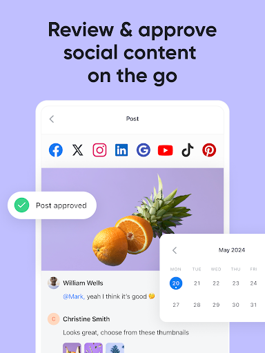 Screenshot of Planable Social Media Approval