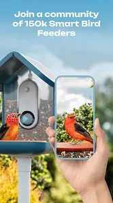 Bird Buddy Smart Bird Feeder Identifies Your Bird Friends Using AI