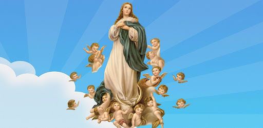 Oração NS Imaculada Conceição