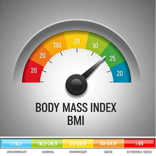 BMI Calculator Download on Windows