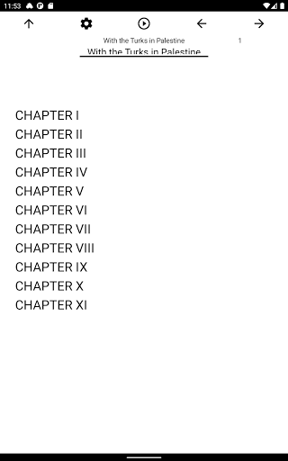 Book With the Turks in Palest