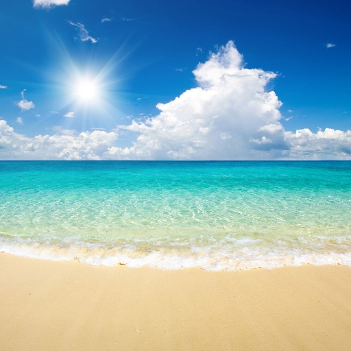 75 Summer Vibe Wallpaper For Andoid HD