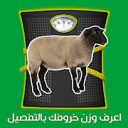 اعرف وزن خروفك بالتفصيل