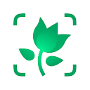 PictureThis растения признать