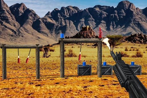 Bottle Shooting Challenge 2025