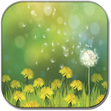 Dandelions field icon
