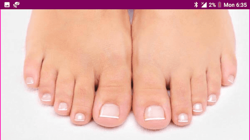 Learn English Wildlife and Body Parts Names