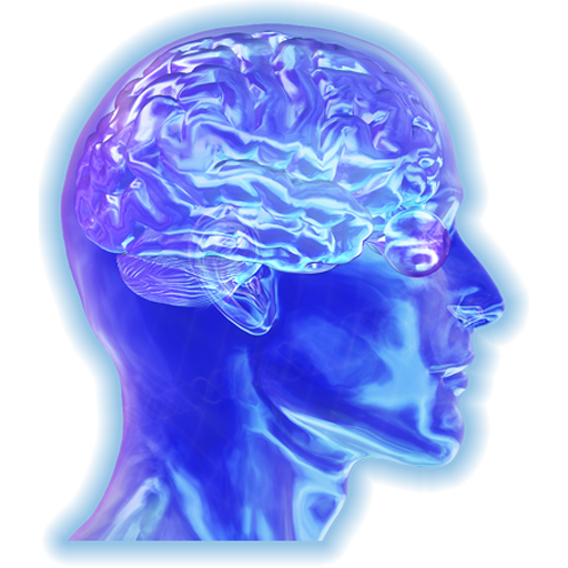 Memory Test logo