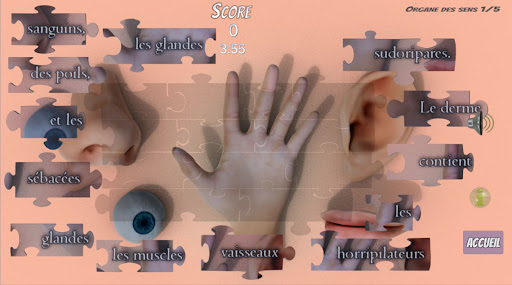 FormaPuer:PhrasesDePhysiologie Screen 3