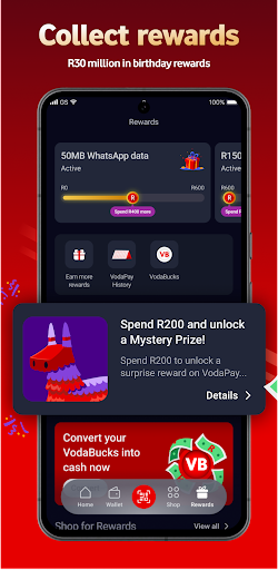 VodaPay Screen 3