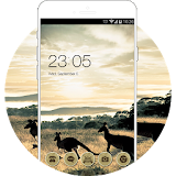 Animal Theme:Kangaroo Wild Life HD Wallpaper icon