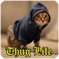 Thug Life Funny Videos