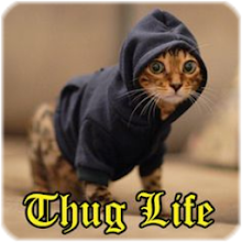 Thug Life Funny Videos - Latest version for Android - Download APK