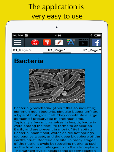 Bacteria and Infections