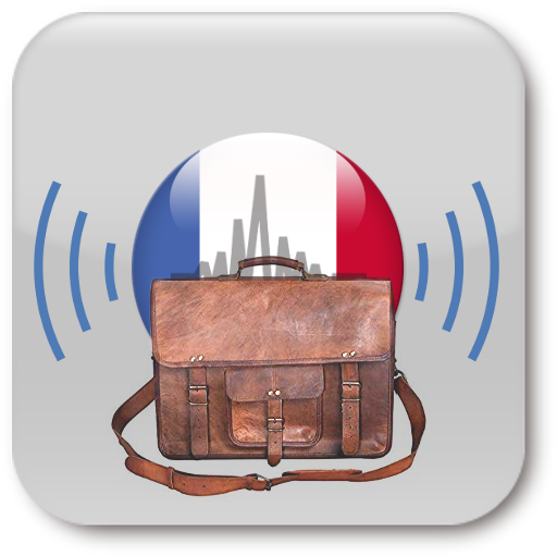Business French Tutor  Icon