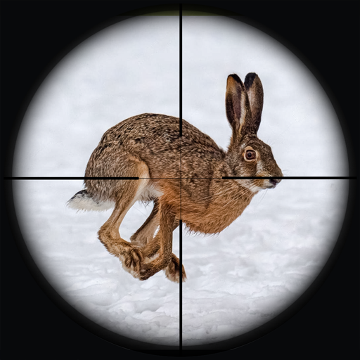 Rabbit Hunting Sniper Shooting  Icon