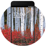 Birch Tree Wallpaper HD icon