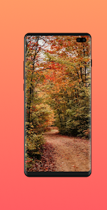 Autumn Wallpaper HD 4K & Live