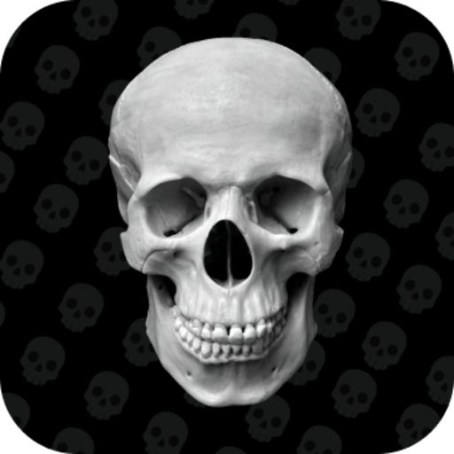 AR Skeletal logo