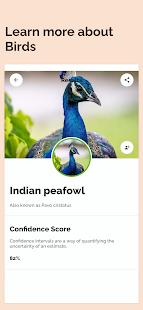Bird Identification Apps Capture d'écran