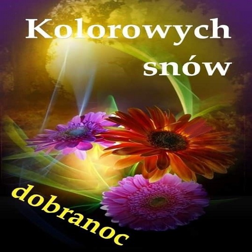 Karty Dobranoc logo