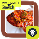 Pickle Recipes In South India Tamil Urugai Achar icon