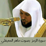 Cover Image of Download سورة الزمر بصوت ماهر المعيقلي  APK