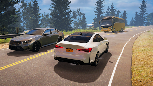 Driving School Simulator : EVO