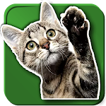 Cover Image of Download WASticker Cats 2 APK