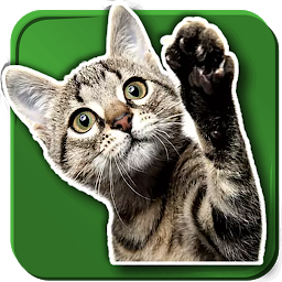 Immagine dell'icona WASticker Cats