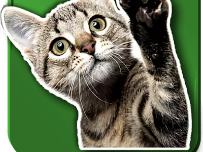 [Téléchargement populaire! ] gato stickers de bebes tiernos con corazones 115934