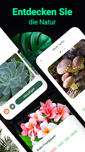 Plantum - Pflanzen bestimmen Screenshot