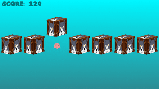 Cat Brain  Challenge Game