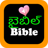 Telugu English Audio Holy Bible icon